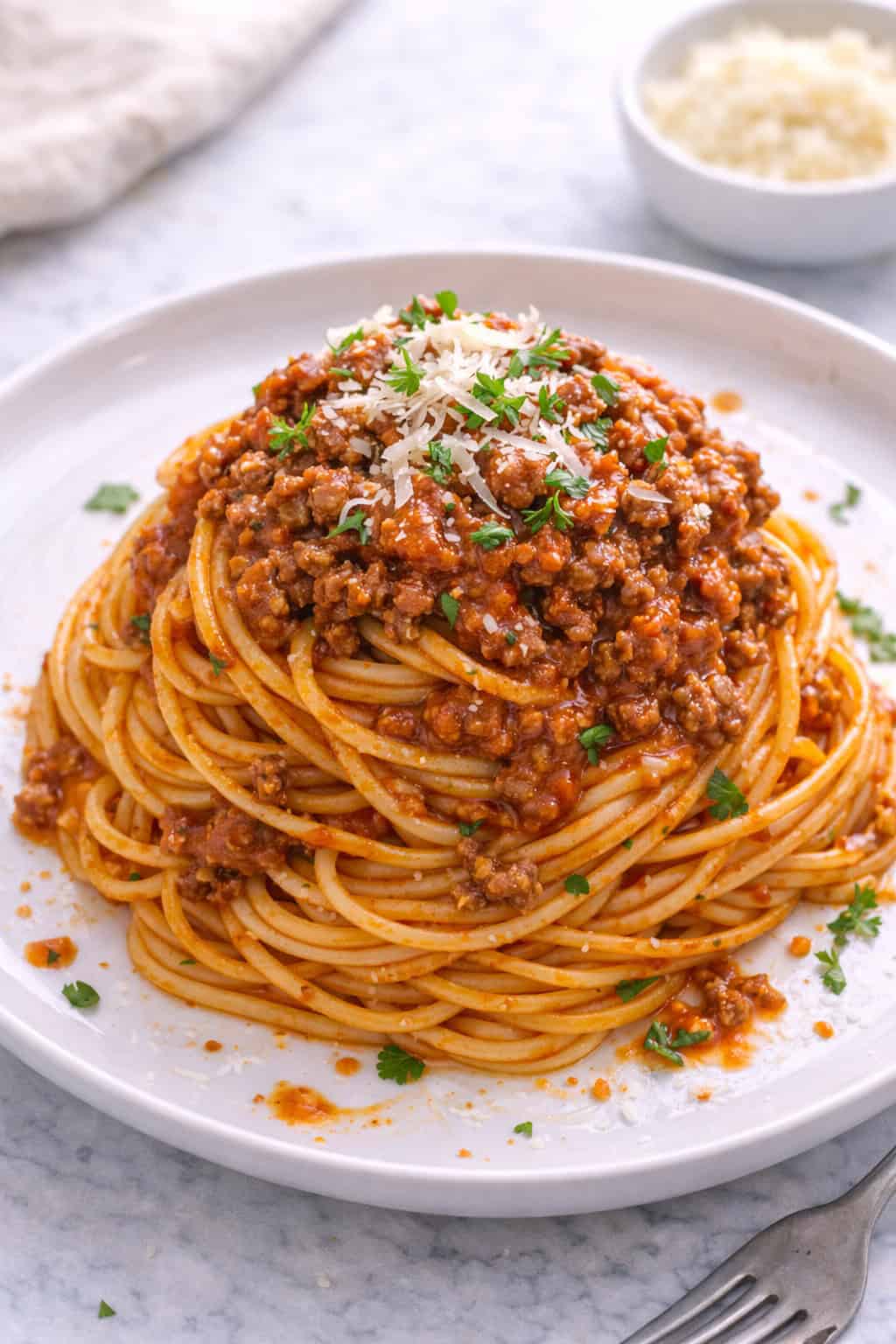 Spaghetti with Meat Sauce