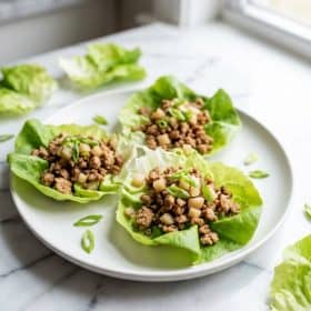 Ground Turkey Lettuce Wraps hero shot